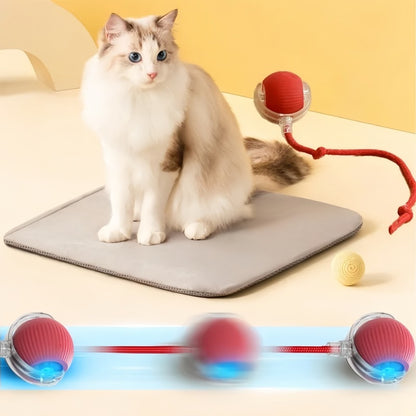 Smart Rolling Cat Mouse Toy