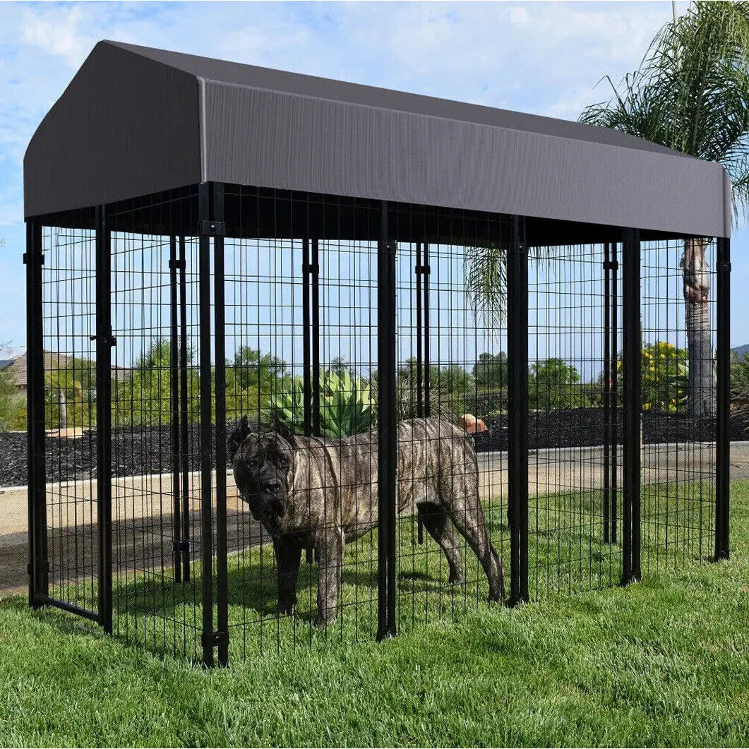 Oversized Outdoor Dog Crate