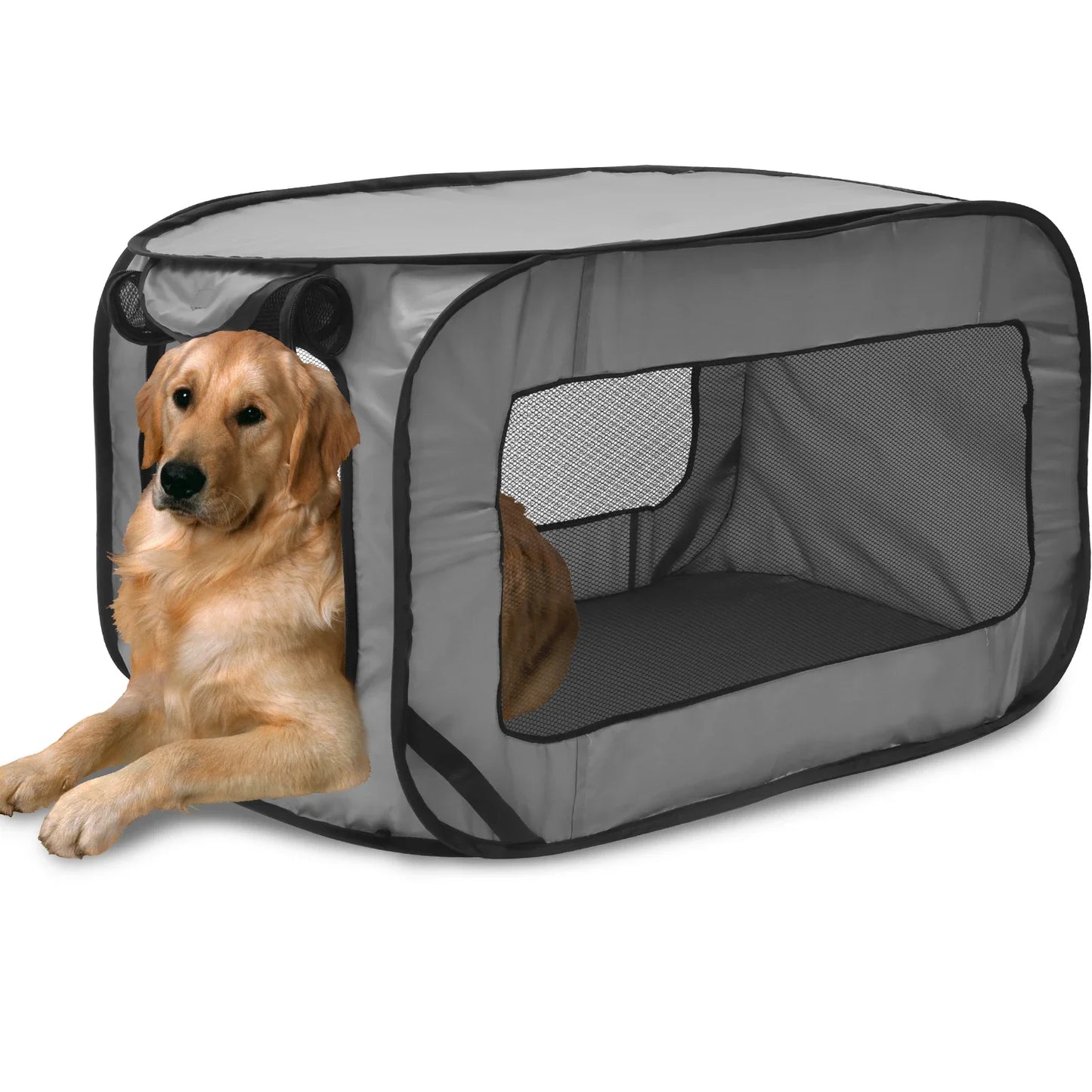 Foldable Dog Travel Crate